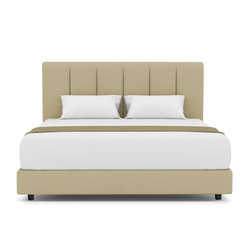 Lily Headboard + Night Angel Divan (Bed Frame)