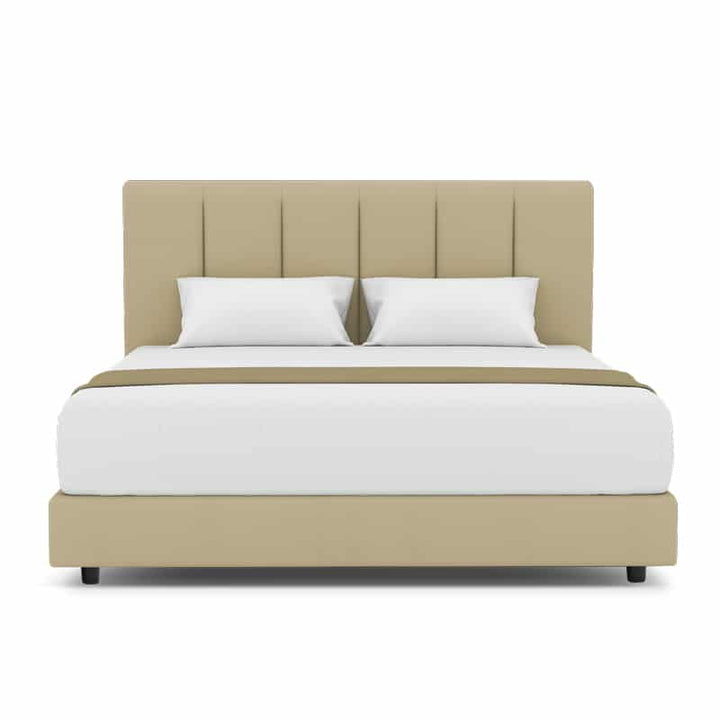 Lily Headboard + Night Angel Divan (Bed Frame)