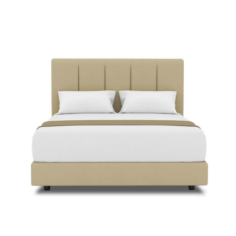 Lily Headboard + Night Angel Divan (Bed Frame)