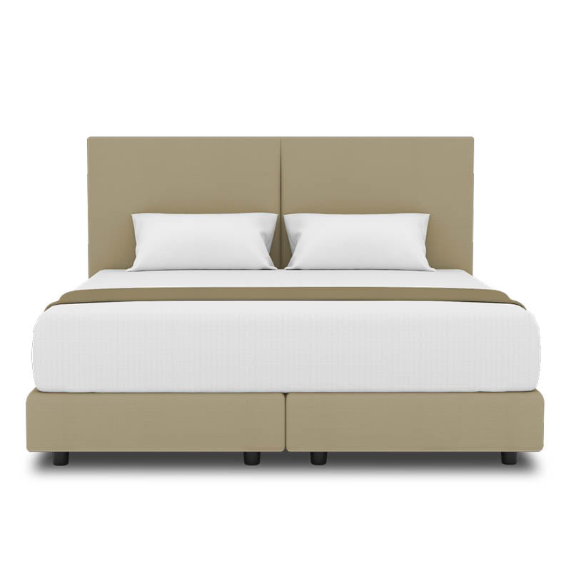 Peony Headboard + Night Angel Divan (Bed Frame)