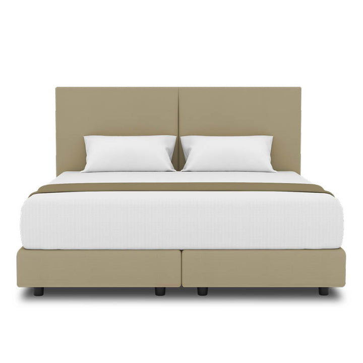 Peony Headboard + Night Angel Divan (Bed Frame)
