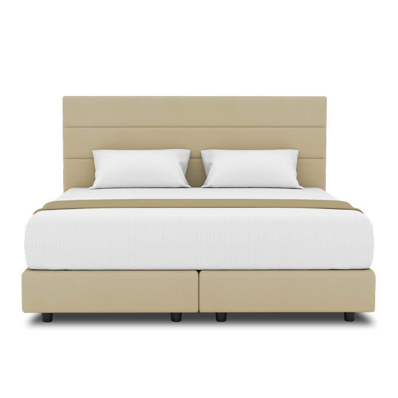 Tulip Headboard + Night Angel Divan (Bed Frame)