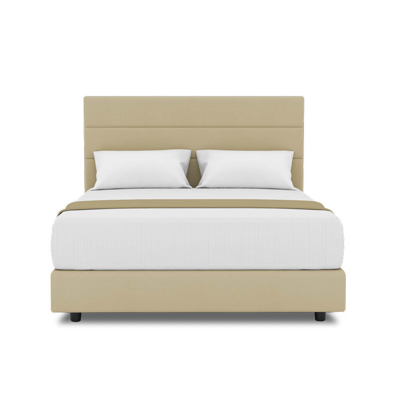 Tulip Headboard + Night Angel Divan (Bed Frame)