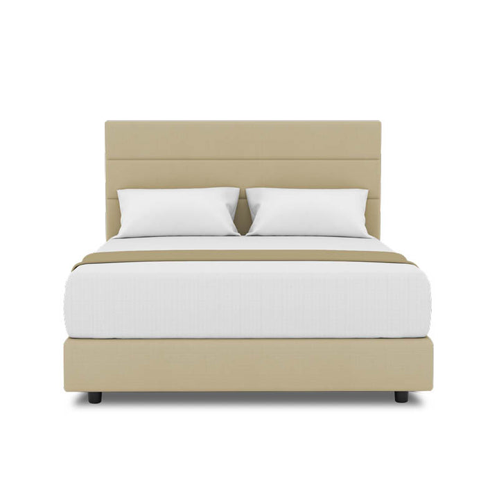 Tulip Headboard + Night Angel Divan (Bed Frame)