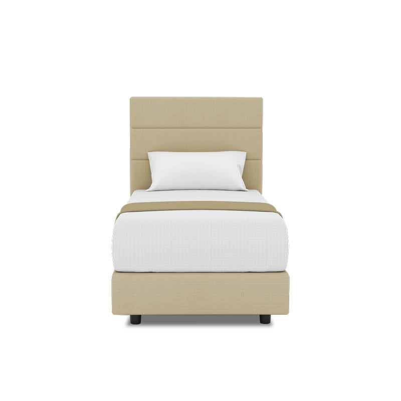 Tulip Headboard + Night Angel Divan (Bed Frame)