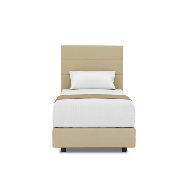 Tulip Headboard + Night Angel Divan (Bed Frame)