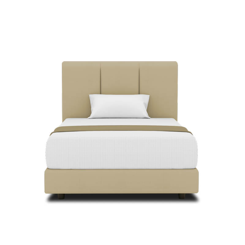 Lily Headboard + Night Angel Divan (Bed Frame)