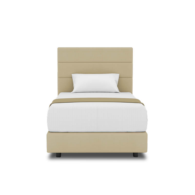 Tulip Headboard + Night Angel Divan (Bed Frame)