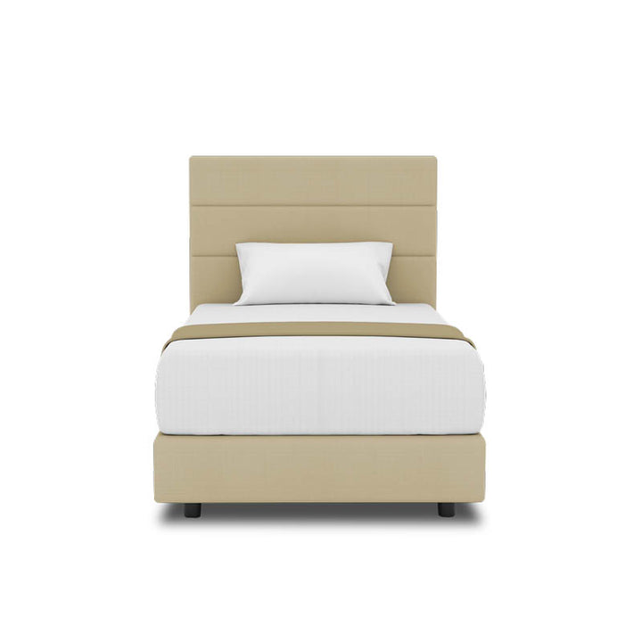 Tulip Headboard + Night Angel Divan (Bed Frame)