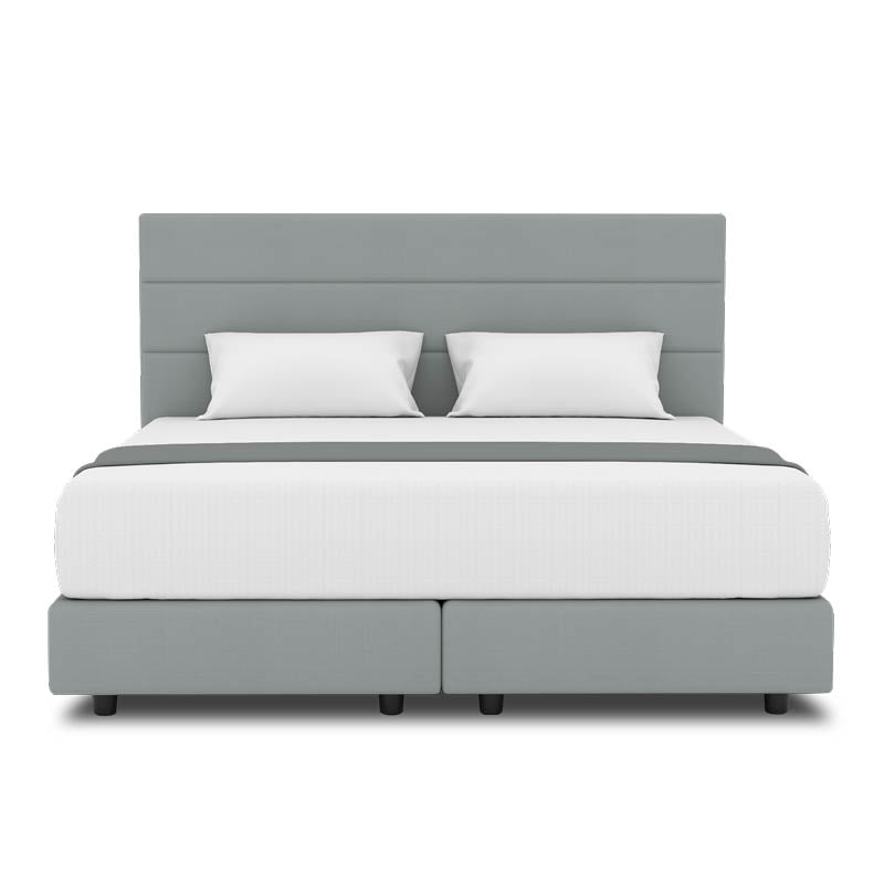 Tulip Headboard + Night Angel Divan (Bed Frame)