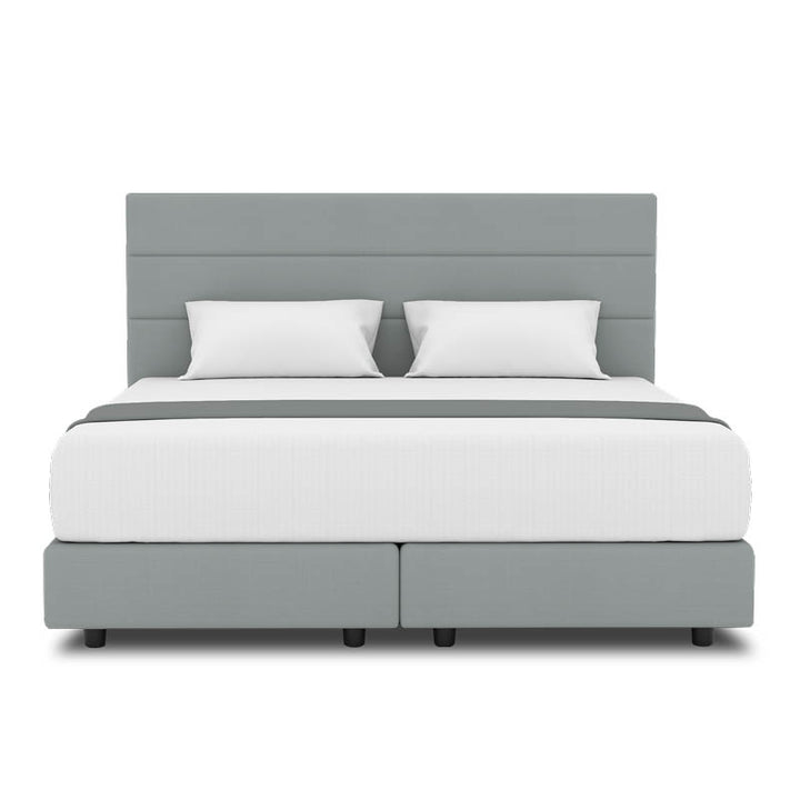 Tulip Headboard + Night Angel Divan (Bed Frame)