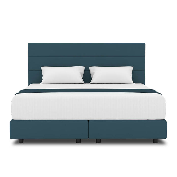 Tulip Headboard + Night Angel Divan (Bed Frame)