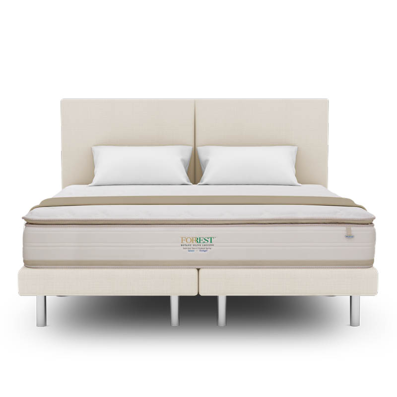 Forrest™ Botany Olive Leccino 13" Pocketed Spring Mattress