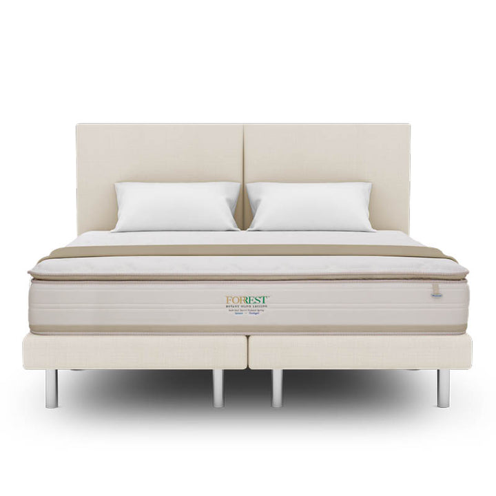 Forrest™ Botany Olive Leccino 13" Pocketed Spring Mattress
