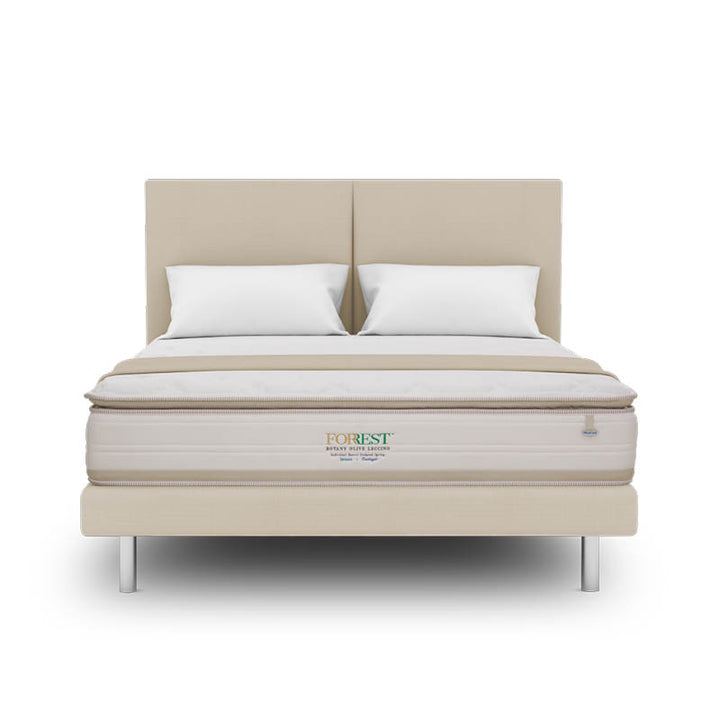 Forrest™ Botany Olive Leccino 13" Pocketed Spring Mattress
