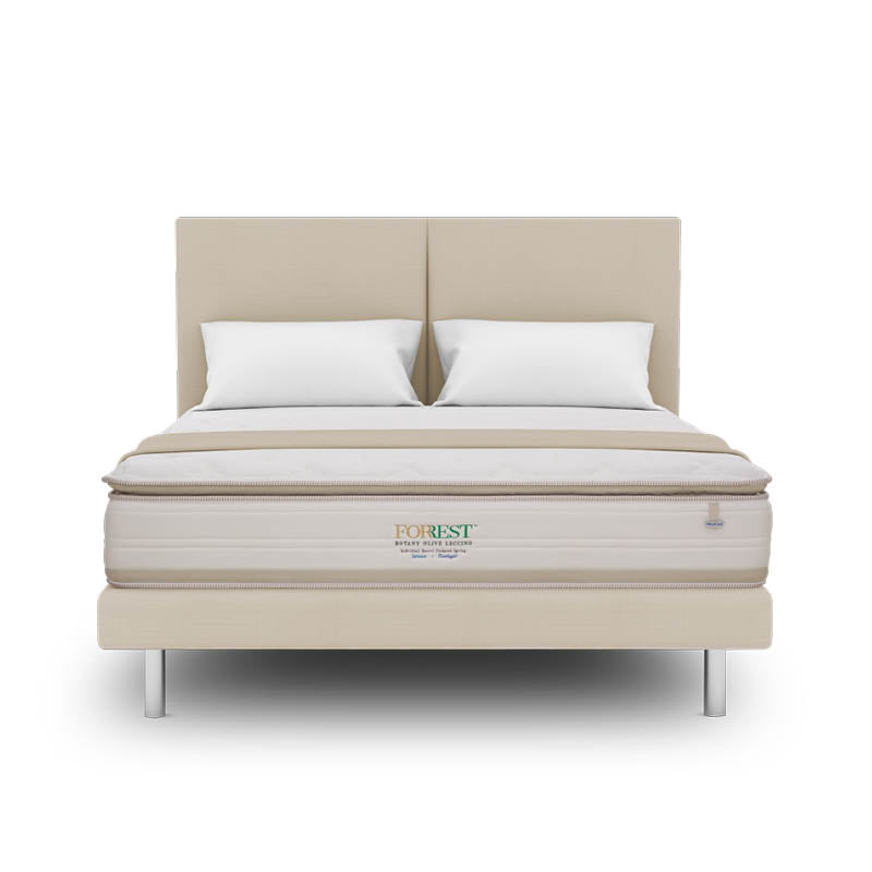 Forrest™ Botany Olive Leccino 13" Pocketed Spring Mattress