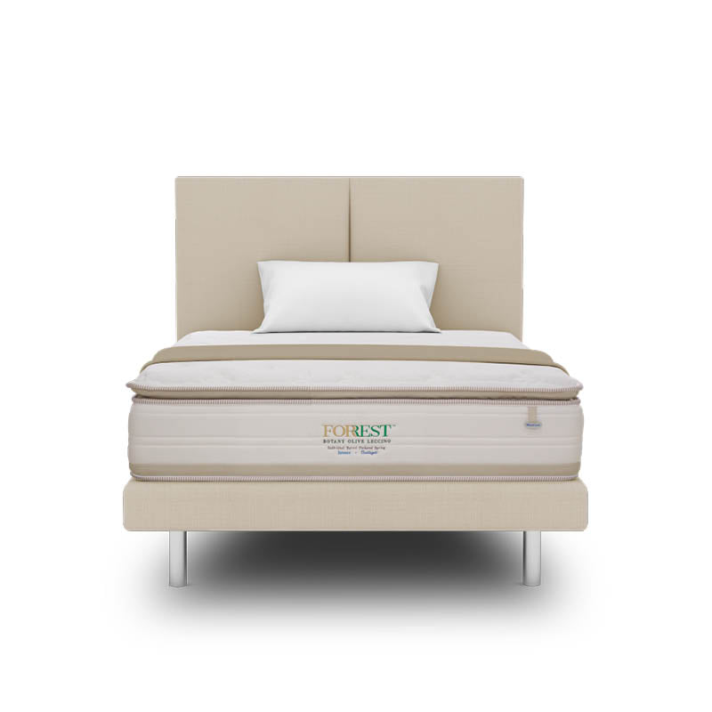 Forrest™ Botany Olive Leccino 13" Pocketed Spring Mattress