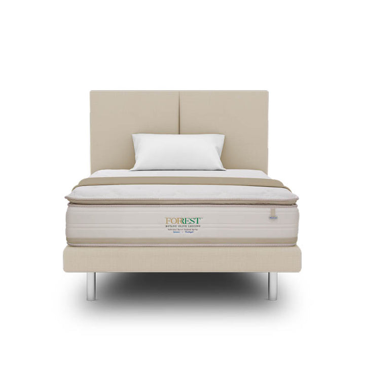 Forrest™ Botany Olive Leccino 13" Pocketed Spring Mattress