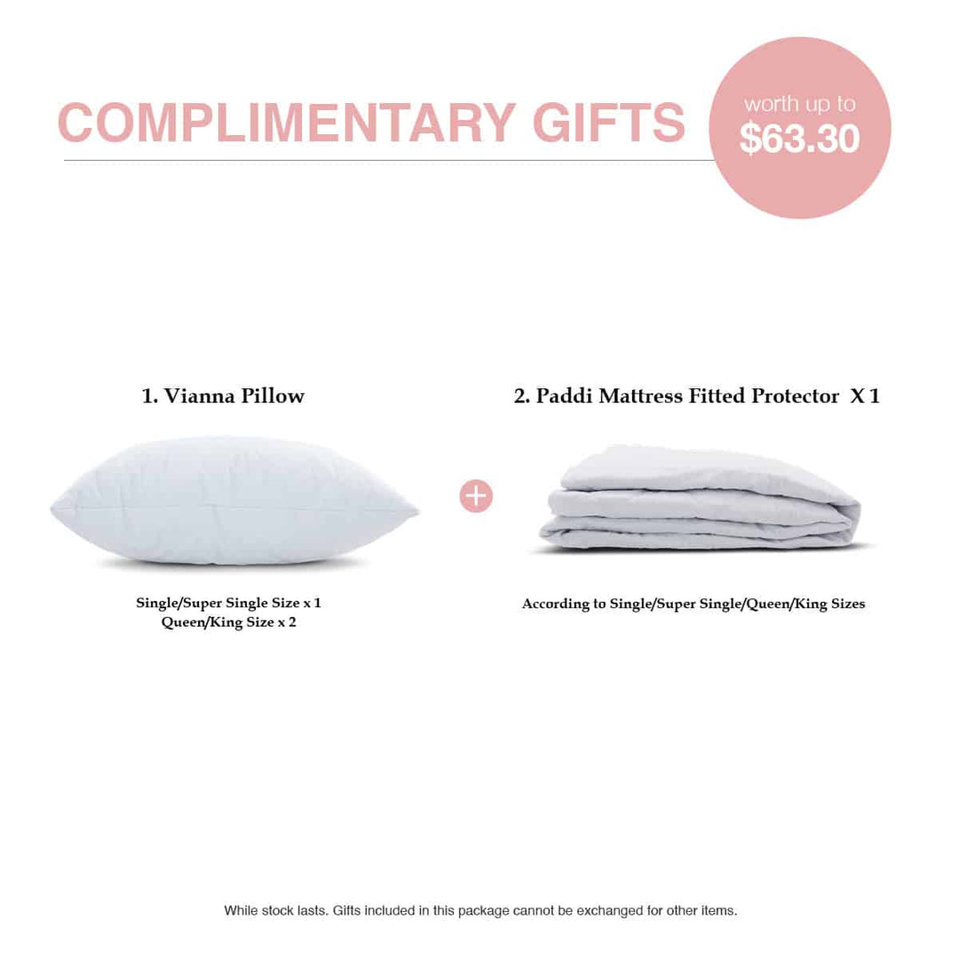 Becca 10.5" Bonnell Spring Mattress + Jory Bed Frame (Package)