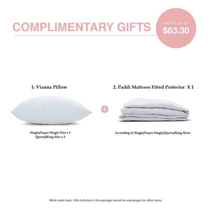 Becca 10.5" Bonnell Spring Mattress + Jory Bed Frame (Package)