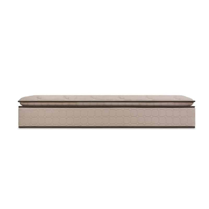 Paige 12.5 Pocketed Spring Mattress