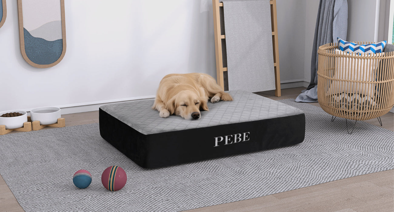 Dog lying on a PEBE memory foam pet bed in a room with decor elements.