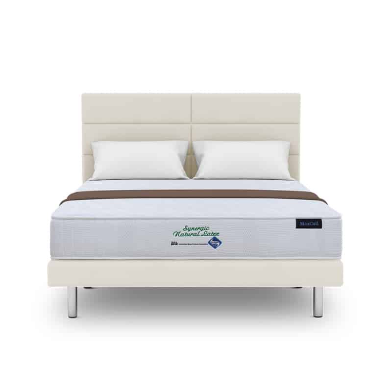 Synergic Latex 9" Foam Mattress