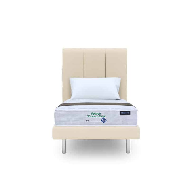 Synergic Latex 7" Foam Mattress