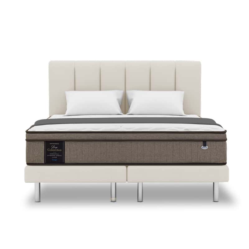 Sleep Connection 10.5" Pocketed Spring Mattress
