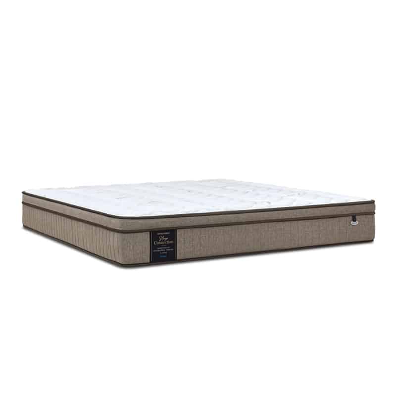 Sleep Connection 10.5" Pocketed Spring Mattress + Day Angel Bed Frame (Package)