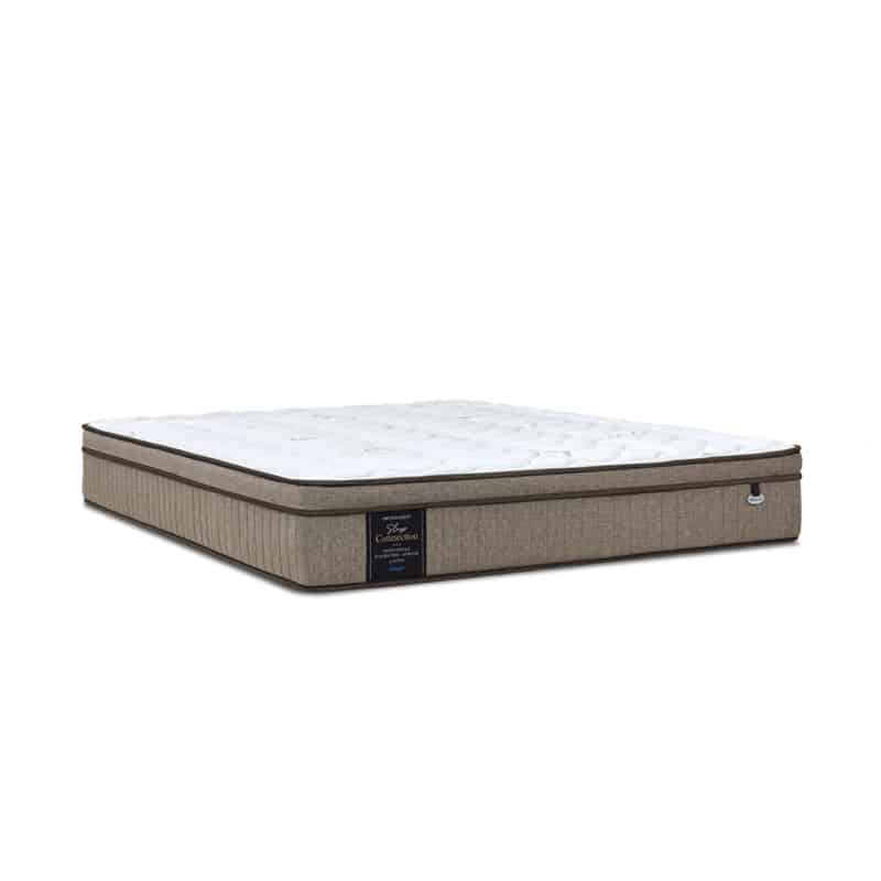 Sleep Connection 10.5" Pocketed Spring Mattress + Day Angel Bed Frame (Package)