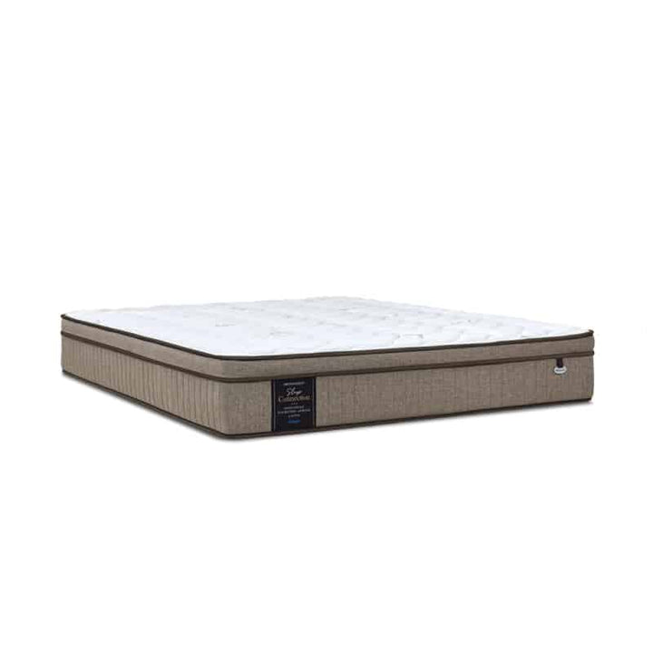 Sleep Connection 10.5" Pocketed Spring Mattress + Day Angel Bed Frame (Package)