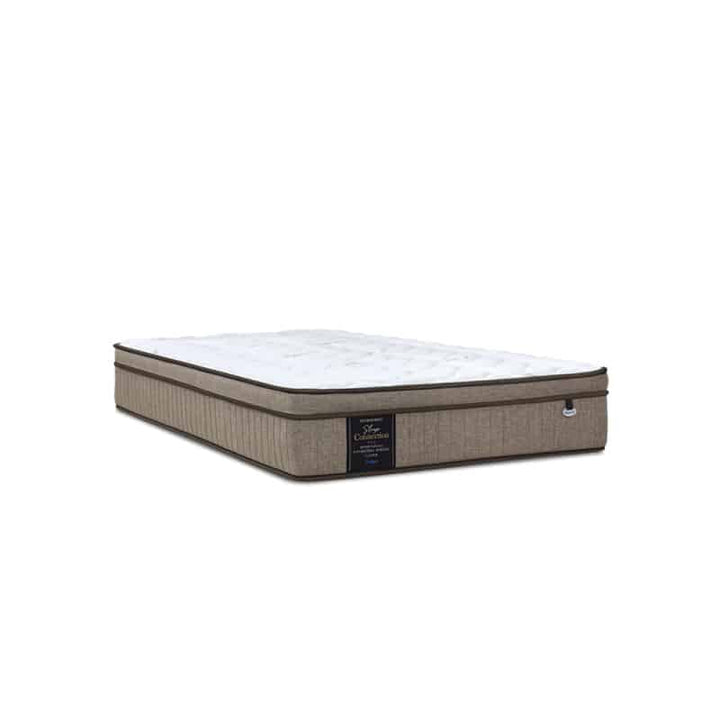 Sleep Connection 10.5" Pocketed Spring Mattress + Day Angel Bed Frame (Package)