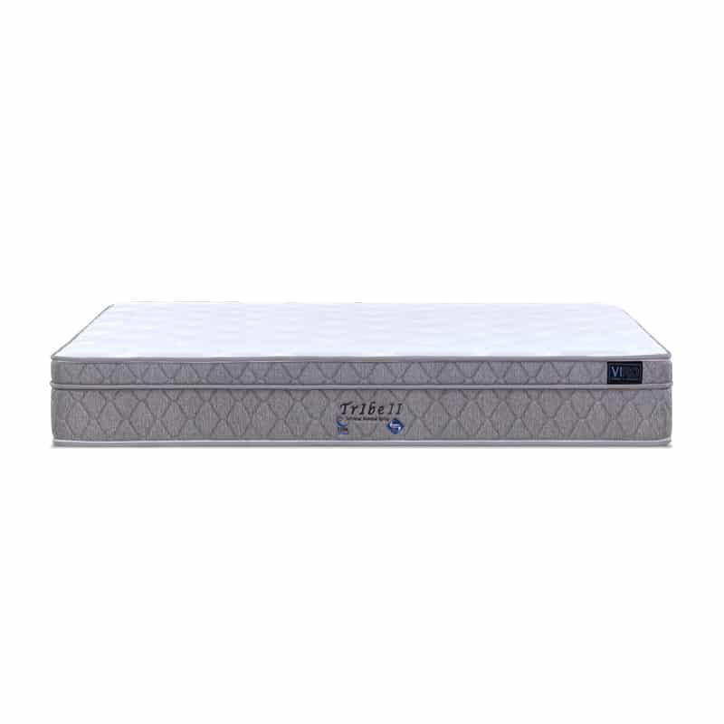 Tribe II 10.5'' Pocketed Spring Mattress