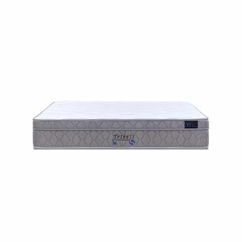 Tribe II 10.5'' Pocketed Spring Mattress