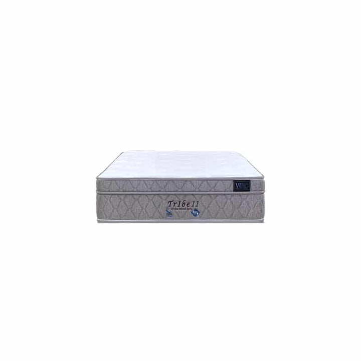 Tribe II 10.5'' Pocketed Spring Mattress