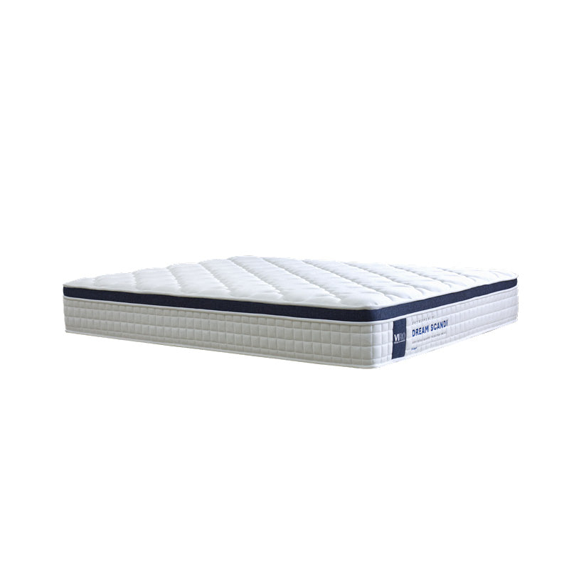 Dream Scandi 11”  Pocketed Spring Mattress