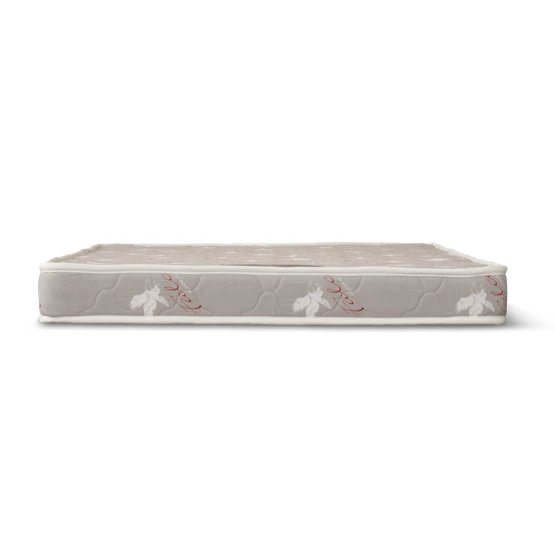Falcon Foam 4'' Quilted Mattress