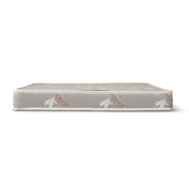 Falcon Foam 4'' Quilted Mattress