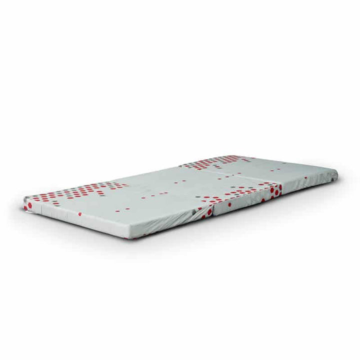 Lion 3'' Foldable Foam Mattress (Single)