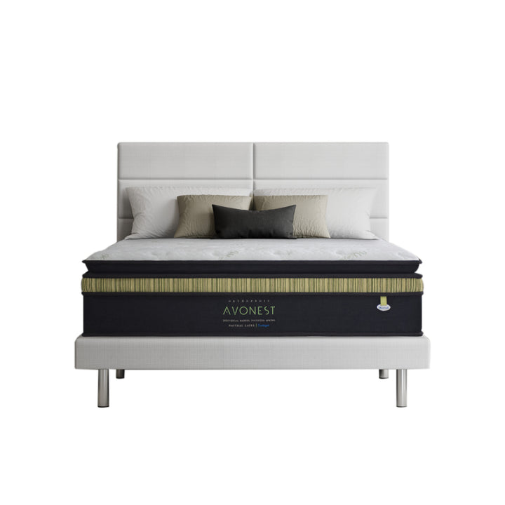 Avonest 14.5" Pocketed Spring Mattress