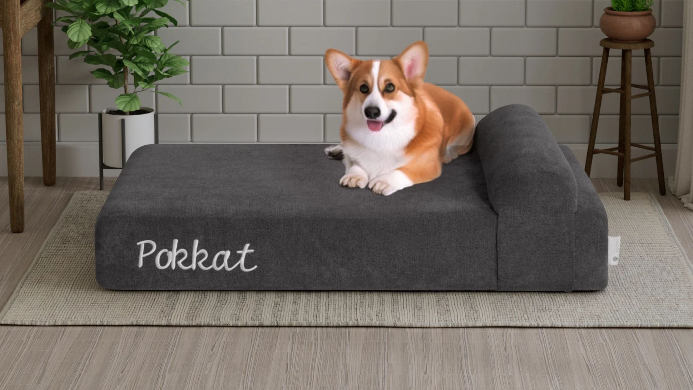 mooZzz_Feb_Promo_Blog_Image_5_Pokkat_Pet_Bed - Mattress International